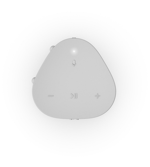 Sonos Roam