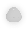Sonos Roam