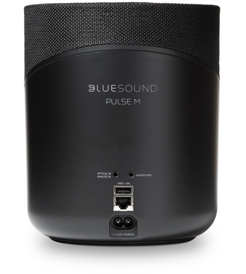 Bluesound Pulse M