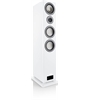 Canton Smart Townus 8