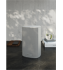 Piega Ace 30 Wireless Set TX/RX