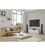 Piega Ace 50 Wireless Set TX/RX