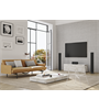 Piega Ace 50 Wireless Set TX/RX