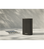 Piega Ace 30 Wireless Set TX/RX