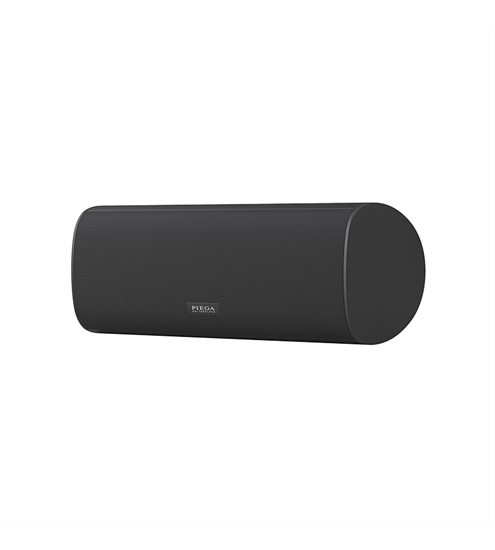 Piega Ace Center Wireless Rx