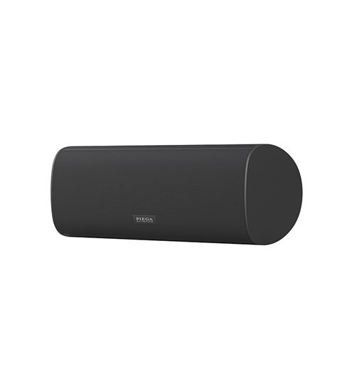 Piega Ace Center Wireless Rx