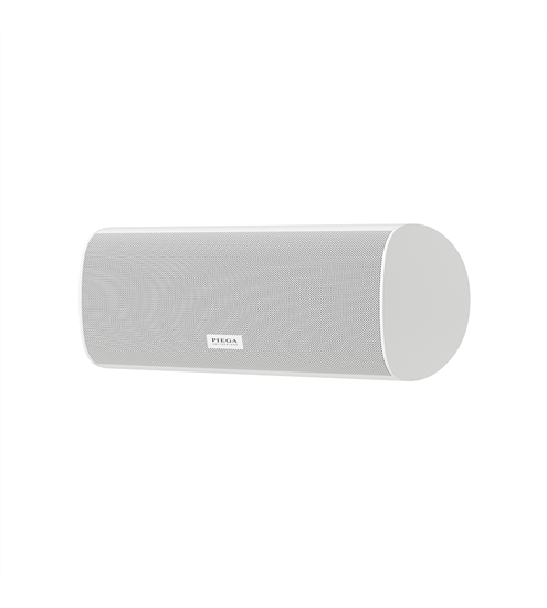 Piega Ace Center Wireless Rx