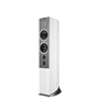 Audiovector R 6 Avantgarde
