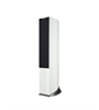 Audiovector R 6 Avantgarde