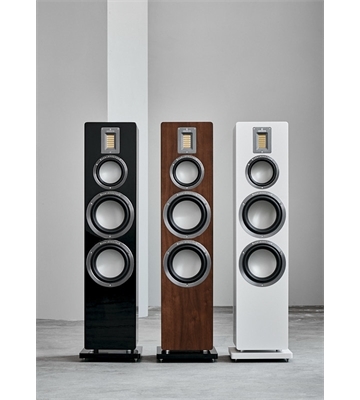 Audiovector QR 7