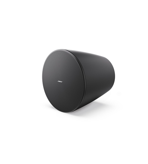 Bose DesignMax DM10P-SUB
