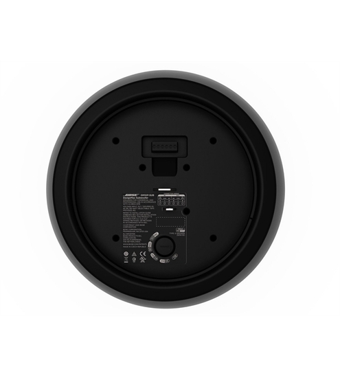 Bose DesignMax DM10P-SUB