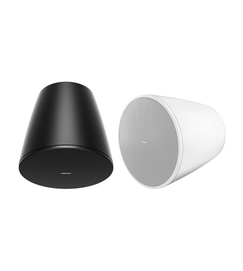 Bose DesignMax DM10P-SUB