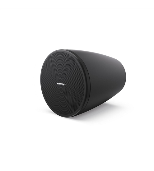Bose DesignMax DM3P