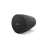 Bose DesignMax DM3P