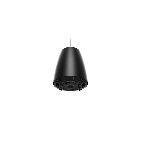 Bose DesignMax DM3P
