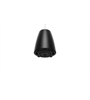 Bose DesignMax DM3P