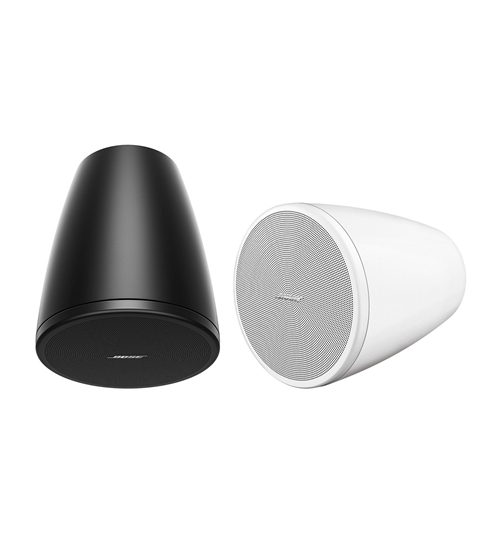 Bose DesignMax DM3P