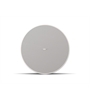 Bose DesignMax DM8C