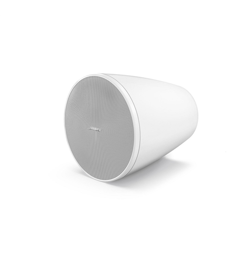 Bose DesignMax DM5P
