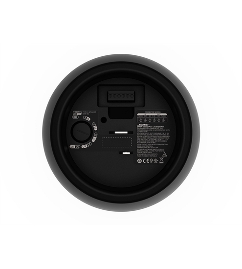 Bose DesignMax DM5P