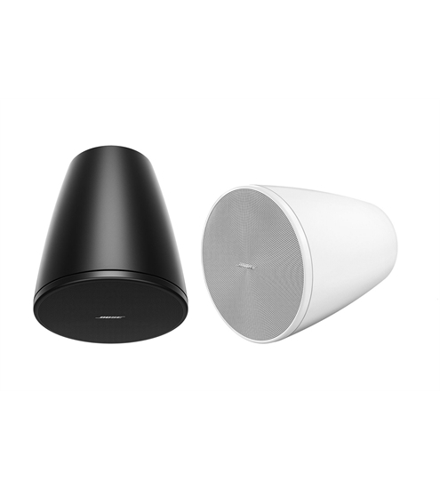 Bose DesignMax DM5P