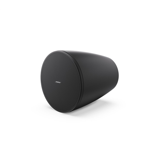 Bose DesignMax DM6PE