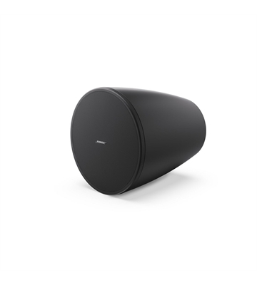 Bose DesignMax DM6PE